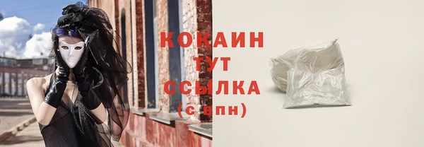 мет Арсеньев