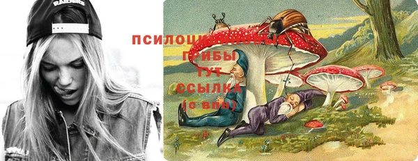 ECSTASY Алексеевка