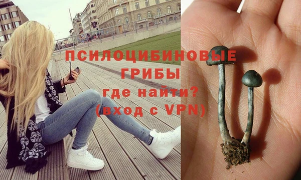 2c-b Армянск