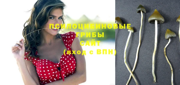 мет Арсеньев